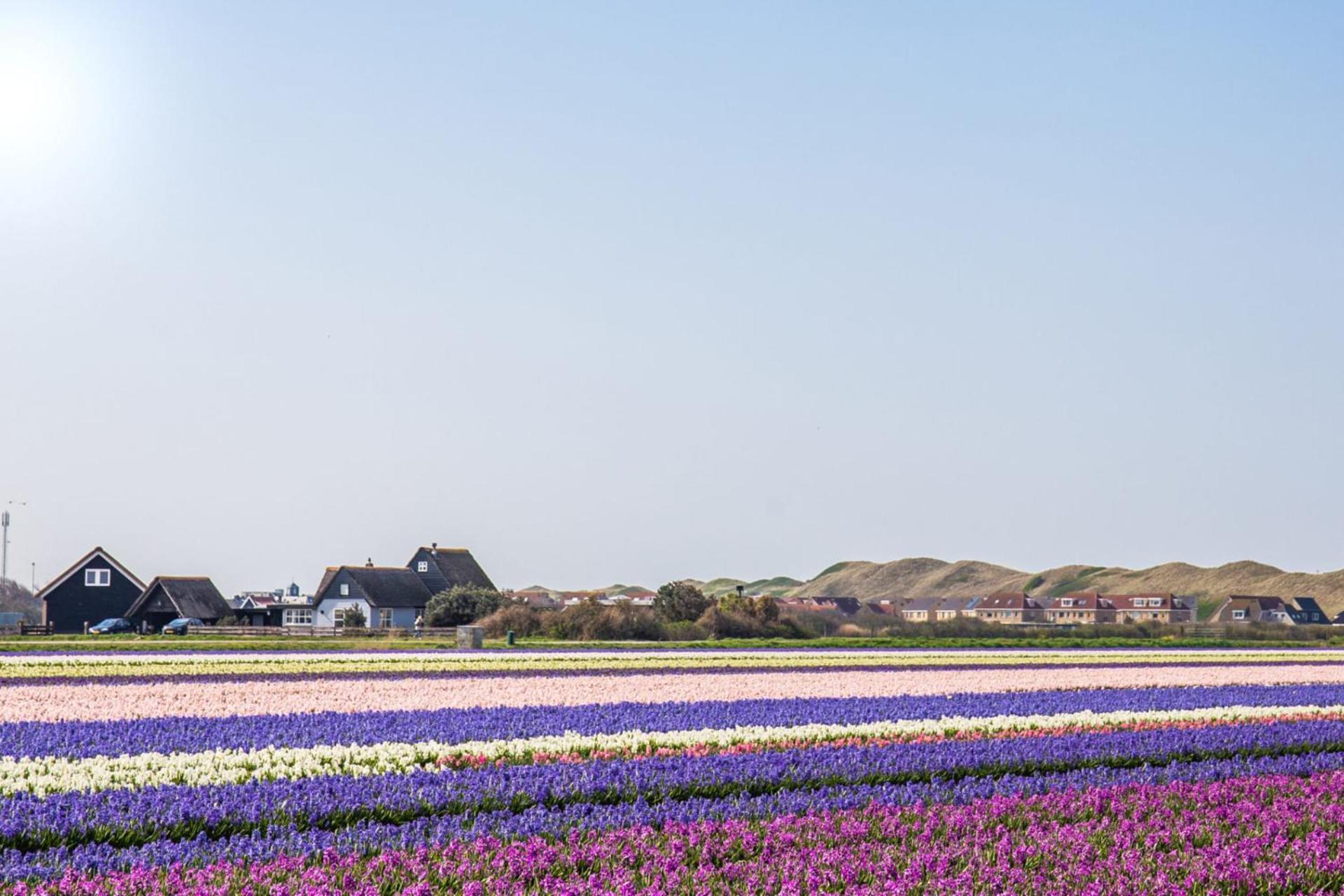 Beach Appartement 17 - Aan De Duinen, Callantsoog Aan Zee Εξωτερικό φωτογραφία