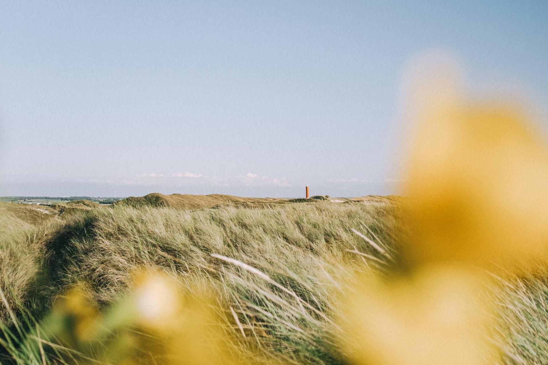 Beach Appartement 17 - Aan De Duinen, Callantsoog Aan Zee Εξωτερικό φωτογραφία